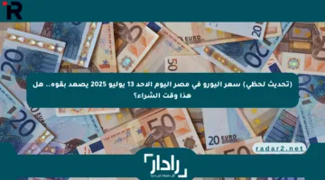 (تحديث لحظي) سعر اليورو في مصر اليوم الأحد 13 يوليو 2025 يصعد بقوة.. هل هذا وقت الشراء؟